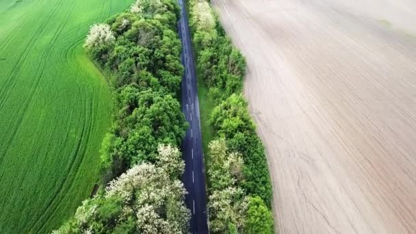 Luftaufnahme Einer Straße Mit Bäumen Grüne Und Gelbe Felder Den — Stockvideo