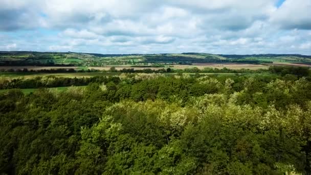 Aerial Landscape Forward Shot Little Forest Cloudy Bright Shady View — Stock Video