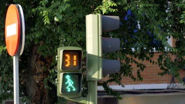 Red Man Figure Turning Green Man Walking Figure Traffic Light — Stock Video