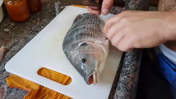 Man Man Voorbereiding Rauwe Vis Uhd Beeldmateriaal — Stockvideo