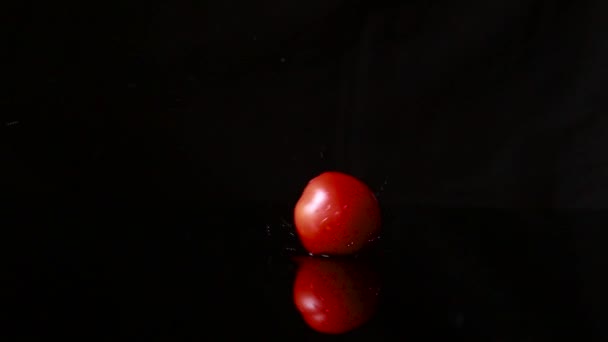 黒を背景に超スローモーションで水に落ちるトマト — ストック動画