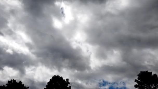 Tempo Nubi Monsoniche Tempo Piovoso India Nuvole Pioggia Tempo Durante — Video Stock