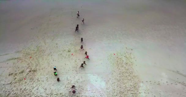 Luftaufnahme Von Oben Nach Unten Von Menschen Die Strand Joggen — Stockvideo