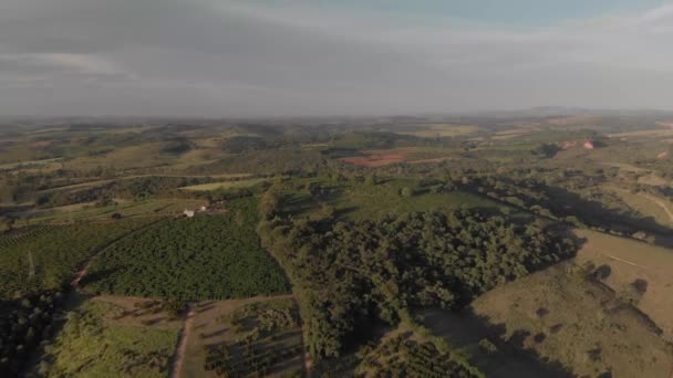 Drohne Fliegt Über Ländliches Land Brasilien — Stockvideo