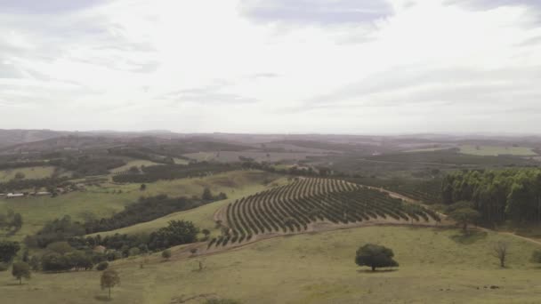 Terre Rurali Drone Aerea Filmato — Video Stock