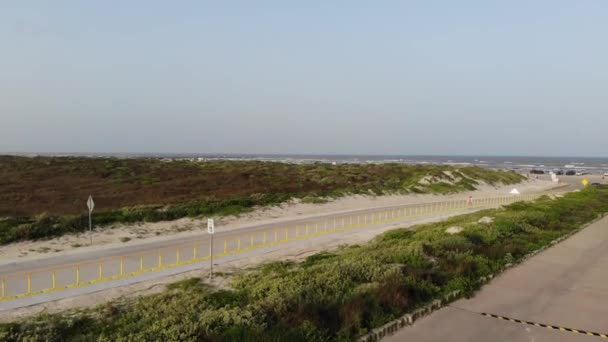 Taking Parking Lot Woman Walking Beach Rising Reveal Flock Birds — Stock Video