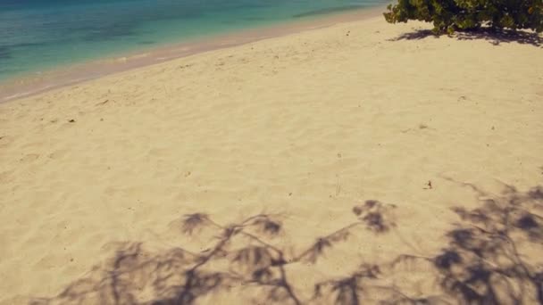 Incredibile Filmato Una Spiaggia Sabbia Bianca Sull Isola Caraibica Grenada — Video Stock