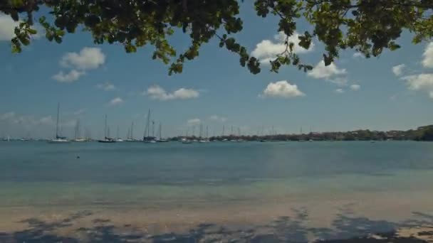 Splendido Time Lapse Grenada Yacht Club Situato Nei Caraibi — Video Stock