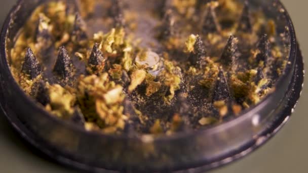 Panning Close Van Cannabis Malen Een Plastic Grijze Molen Fps — Stockvideo