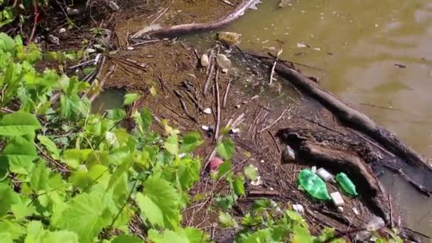 アヒルはオハイオ州クリーブランドのバルクヘッドに沿ってゴミから離れて泳ぐ Cuyahoga川はきれいになりましたが 水路にはまだゴミがあります — ストック動画