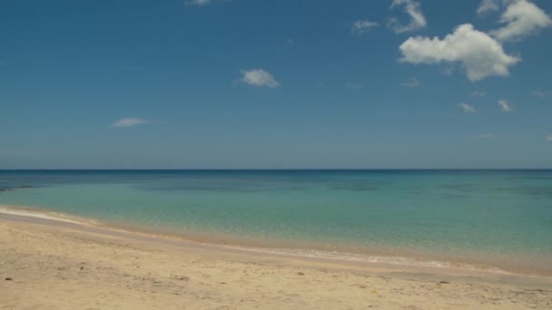 Vågor Kraschar Vid Stranden Denna Fantastiska Magazine Beach Grenada — Stockvideo