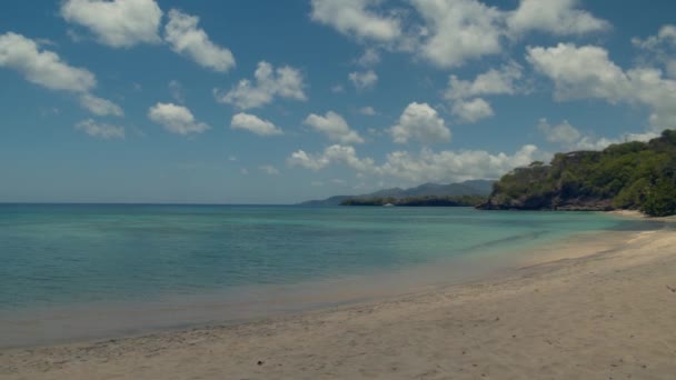 Naturskön Utsikt Över Vacker Karibisk Strand Belägen Grenada — Stockvideo