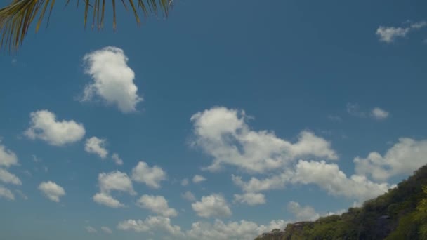 Avslöjande Bild Episk Karibisk Strand Belägen Den Karibiska Grenada — Stockvideo