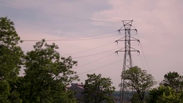 Powerlines Die Door Een Natuurreservaat Lopen Natuur Vermengen Met Industrie — Stockvideo