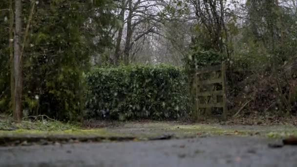 Χιόνι Πέφτει Μια Παλιά Αγγλική Driveway Ένα Κρύο Χειμώνες Πρωί — Αρχείο Βίντεο