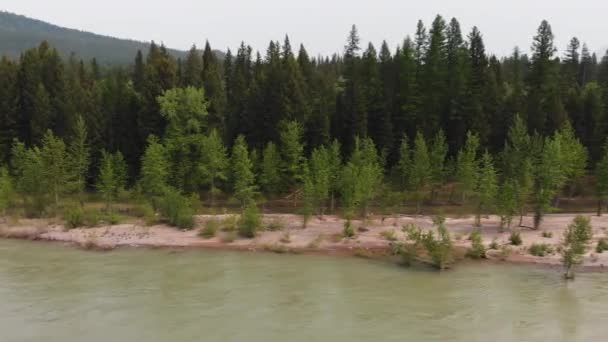 Tiro Aéreo Banco Florestal Lado Rio Flathead Montana Fumaça Enche — Vídeo de Stock