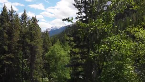 Luchtfoto Van East Glacier Park Camera Stijgt Door Bomen Onthullen — Stockvideo