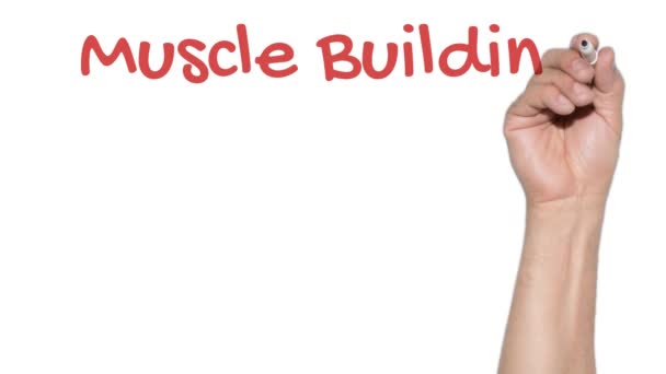 Muscle Building Diet Pyramid Explainer Ručně Napsané Skle Zezadu — Stock video