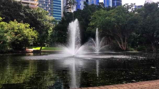 Krásné Jezero Fontánami Jezeře Obklopeném Květinami Centru Městského Parku Brisbane — Stock video