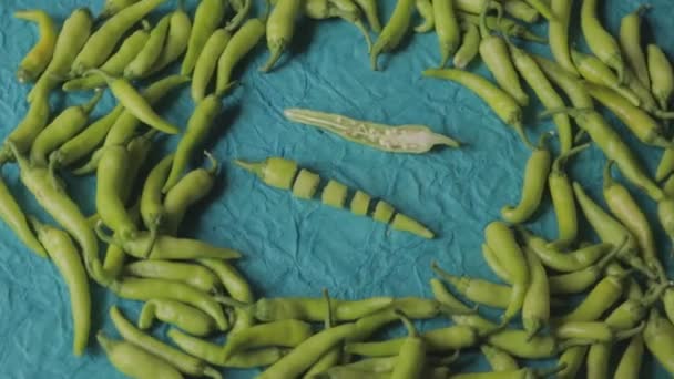 Green Chilli Isolated Blue Background — Stock Video