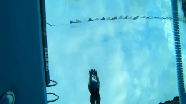 Plan Sous Marin Nageur Plongeant Rapidement Dans Une Piscine — Video