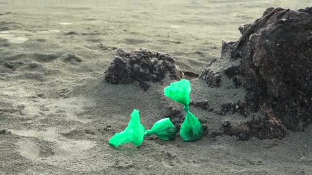 Twee Groene Tassen Met Hondenpoep Achtergelaten Een Strand — Stockvideo