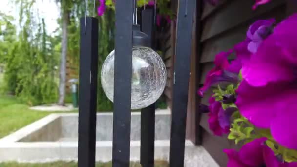 Sons Cloche Vent Dans Campagne Entourée Fleurs Vent — Video