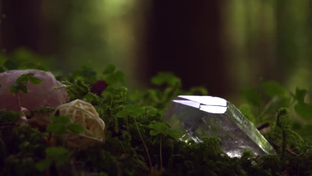 Волшебный Лес Желтой Светящейся Феей Летящей Над Ярко Зеленым Мхом — стоковое видео