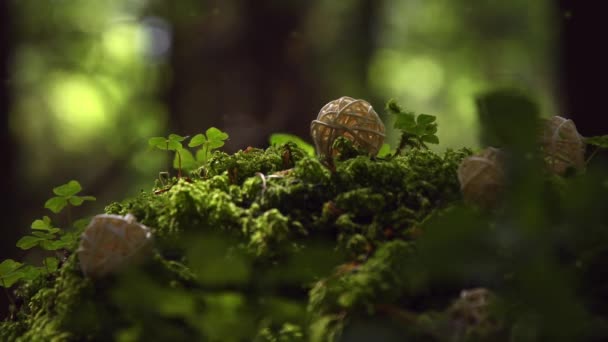 Magisk Skog Med Gul Glödande Älva Flyger Ovanför Ljusa Gröna — Stockvideo