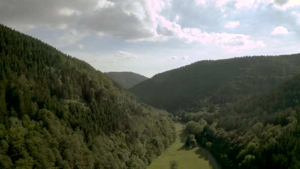 Беспилотный Летательный Аппарат Национального Парка Гарц Ловер Саксонии Германия Европа — стоковое видео