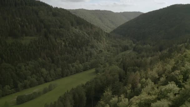 Drohnenoberfläche Des Nationalparks Harz Niedersachsen Deutschland Europa — Stockvideo