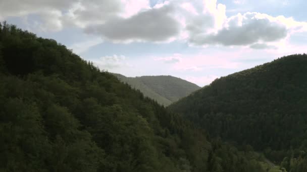 Drone Aerial Harz National Park Lower Saxony Jerman Eropa — Stok Video