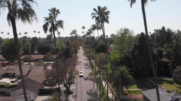 2019年洛杉矶社区的4K空中透视 这个夹子里有太阳光高耸的棕榈树 — 图库视频影像