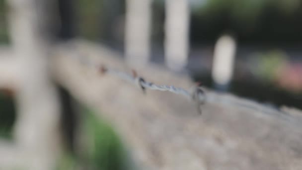 Rack Focus Countryside Barbed Wire Fence — Stock Video