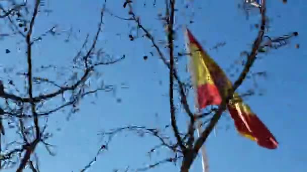 Più Grande Bandiera Spagnola Del Mondo Trova Plaza Coln Madrid — Video Stock