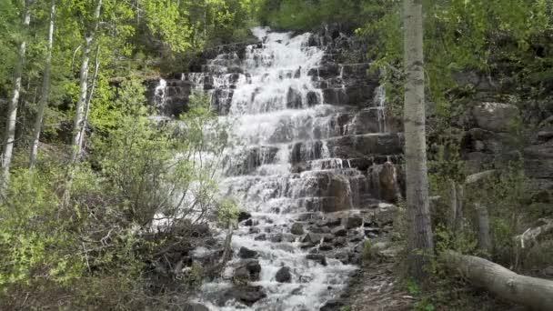 Zeitlupenaufnahme Eines Wasserfalls Glacier National Park Montana Umgeben Von Espenbäumen — Stockvideo