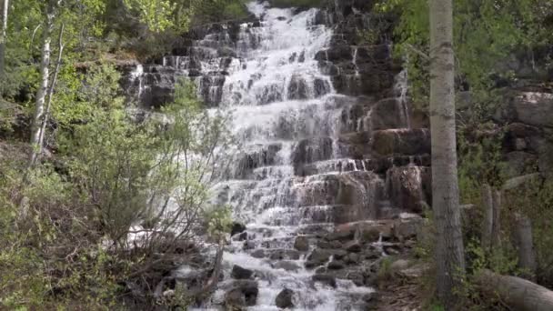 Hermosa Cascada Rodeada Álamos Parque Nacional Glaciar Montana — Vídeo de stock