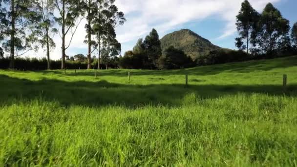 Cinematografische Opname Van Capiro Mountain Weelderige Groene Weiden Van Ceja — Stockvideo