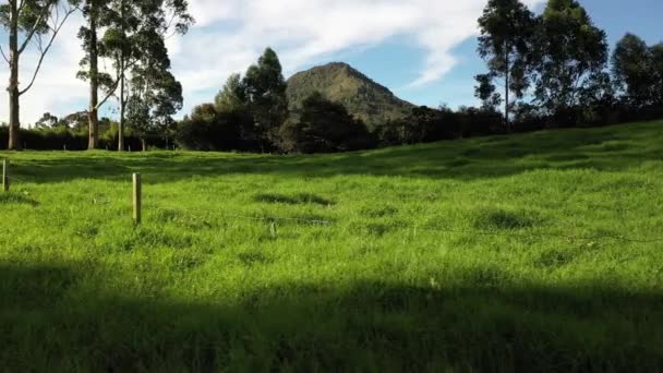 Zdjęcia Lotu Ptaka Capiro Mountain Słoneczny Dzień Nad Zielonymi Pastwiskami — Wideo stockowe