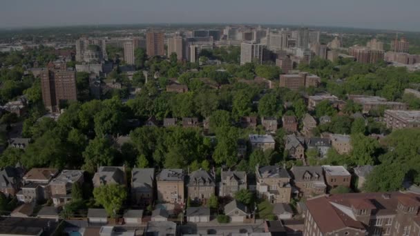 Luftaufnahme Von Der Basilika Louis Cathedral Und Den Wohnhäusern Central — Stockvideo