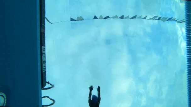 Underwater Slow Motion Shot Diver Smoothly Diving Pool — Stock Video