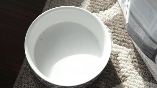 Spoonful Cat Food Being Drop Bowl Sunny Day — Stock video