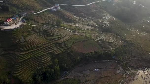 Adelante Tiro Aéreo Movimiento Sobre Grandes Casas Estilo Colonial Rodeadas — Vídeos de Stock