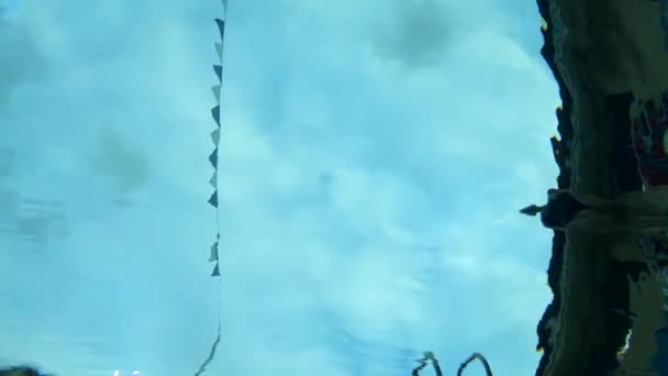 Altında Mayo Giyen Bir Kadının Mavi Bir Havuza Dalışının Görüntüsü — Stok video