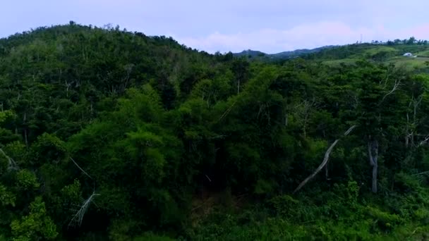 Driving Highway Fajardo Stopped Drone Hills — Stock Video