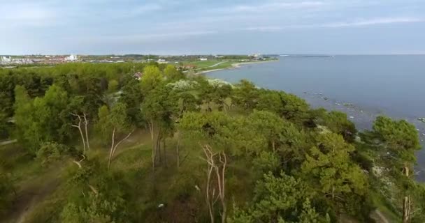 スウェーデン南部のオステルソ海近くのYstad森林の空中ドローン撮影 Skane — ストック動画