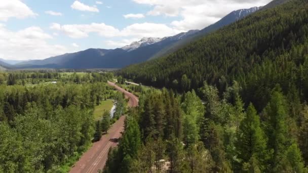 아름다운 눈덮인 숲으로 뒤덮인 언덕들이 뒤덮여 몬태나주의 글레이셔 공원을 가로지르는 — 비디오