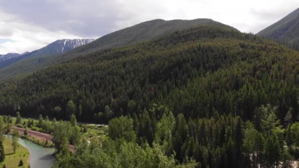 空中拍摄的森林青山 河流蜿蜒流过下面的山谷 照相机缓缓地在松树顶上移动 — 图库视频影像