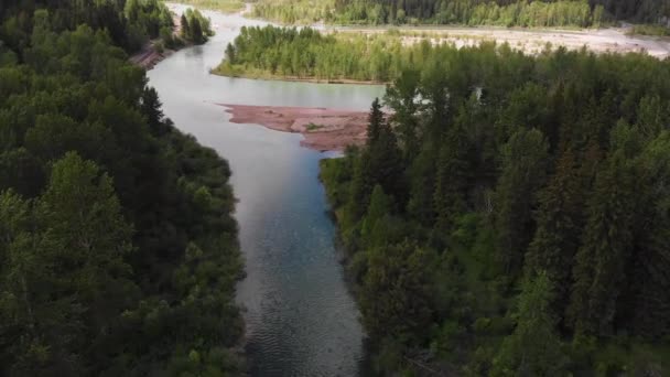 Εναέρια Λήψη Ενός Ποταμού Που Τρέχει Μέσα Από Ένα Δάσος — Αρχείο Βίντεο