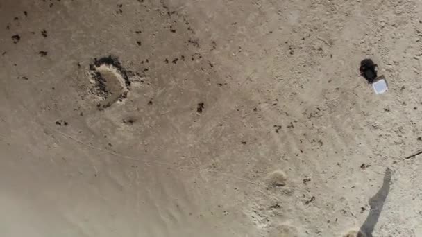 俯瞰从20英尺下降到2英尺以上的沙子 飞行员的影子下降到一个地方 轮胎轨道是 Corpus Christi Tx北包装信道Jetty的空中录像 — 图库视频影像